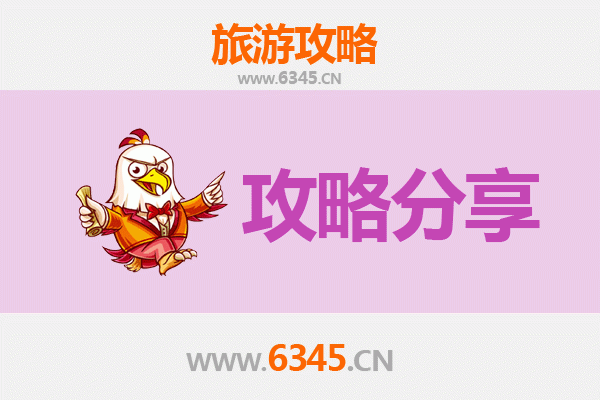 东莞长安镇旅游攻略：跟团与自由行的深度对比
